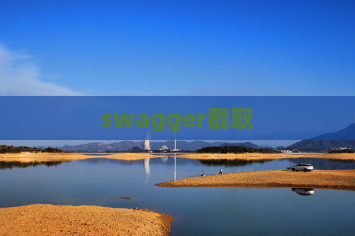 swagger截取